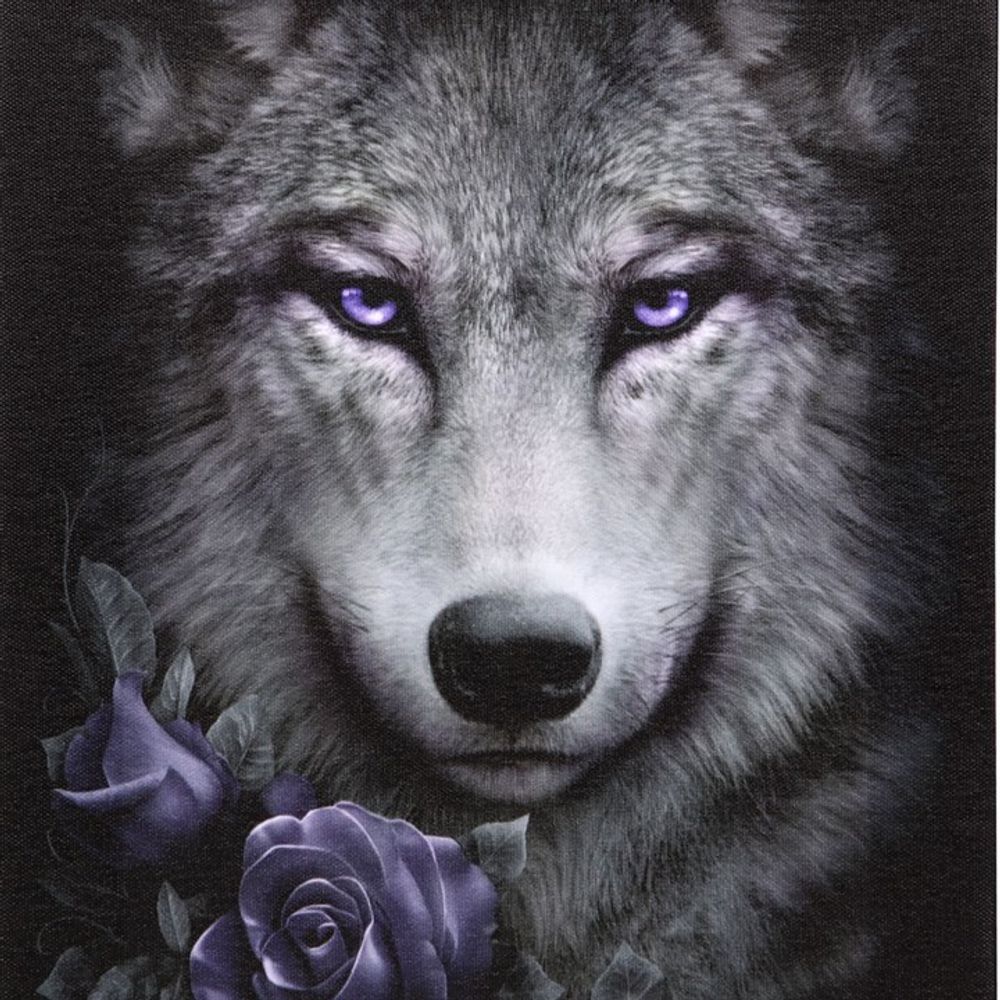 19x25cm Wolf Roses Canvas Plaque by Spiral Direct