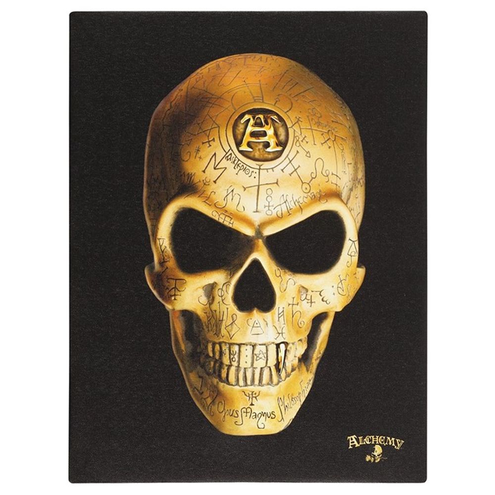 19x25cm Omega Skull Canvas Plaque by Alchemy