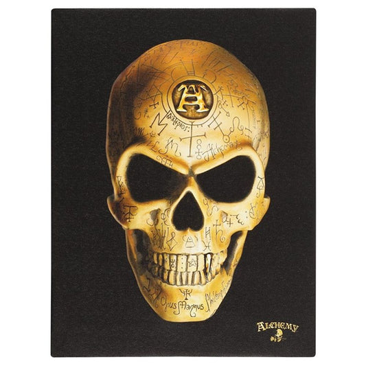 19x25cm Omega Skull Canvas Plaque by Alchemy