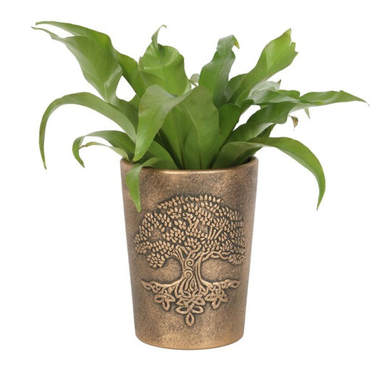 Tree of Life Bronze Terracotta Plant Pot by Lisa Parker