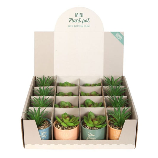 Set of 16 Mini Plant Pots with Artificial Plant