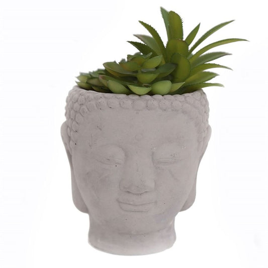 20cm Buddha Head Succulent