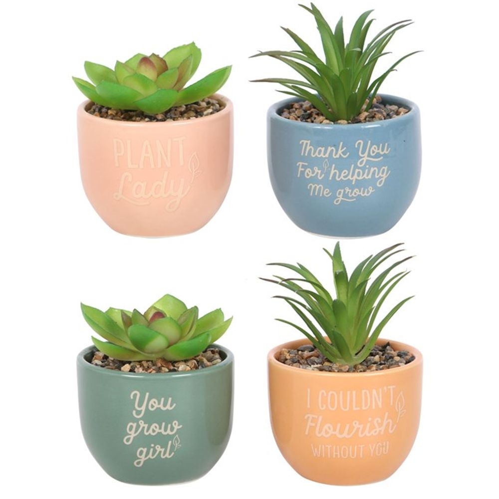 Set of 16 Mini Plant Pots with Artificial Plant